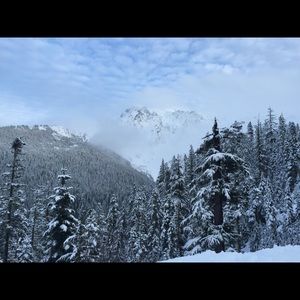 Meet your Posher, Ari